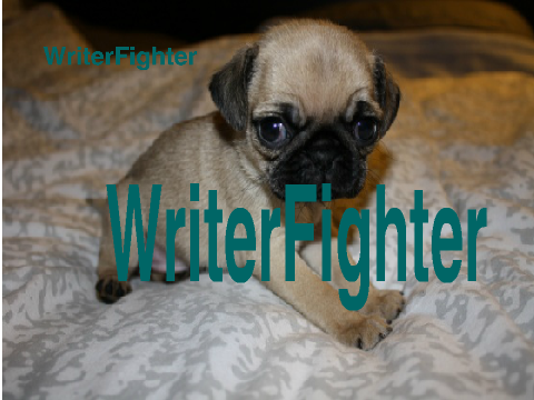 Sign Here If You Like Pugs remix