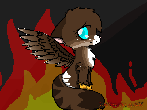 Animal I Have Become ~ Cat CCE ~ 