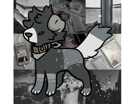 ★ 500+ DMME!