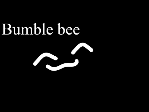Bumble bee