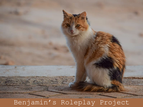 Roleplay Project ╎ Benjamin
