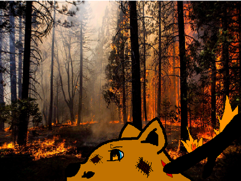 Ferno-fox cub running from forest fire.