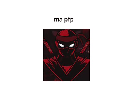 pfp ninja