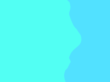 rainwing scale test animation