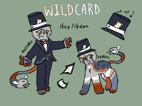 ⭐ wildcard