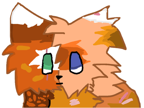 Sunheart Of BirchClan