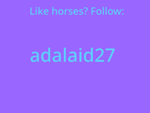 People to follow