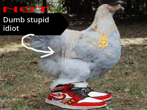 VOCAB5 Challenge 12: Chicken (Explodes)