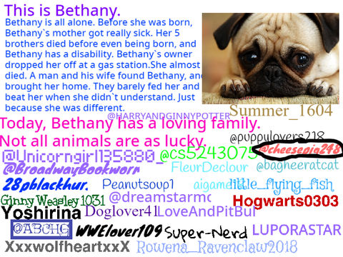 Sign If You Hate Animal Abuse!!! (remix remix remix remix)