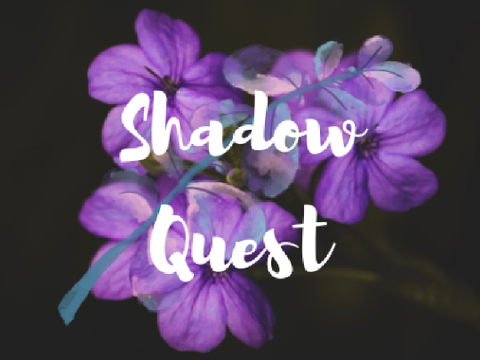 Shadow Quest