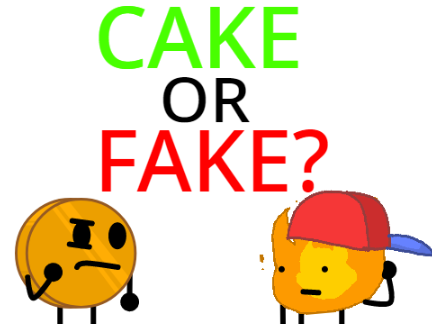 BFDIR 4A: cake or fake?