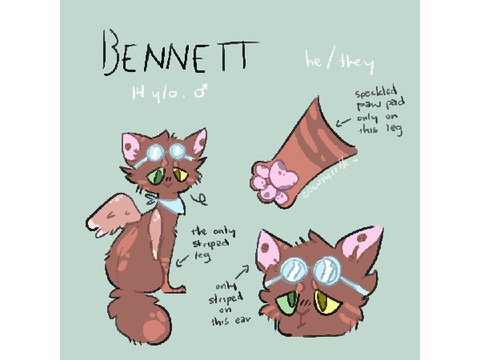 ⭐ bennett