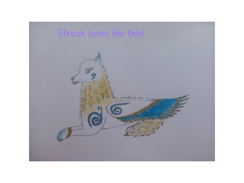 Profile: Streak