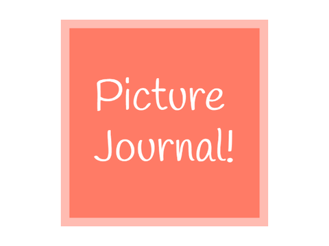 Summer pictures