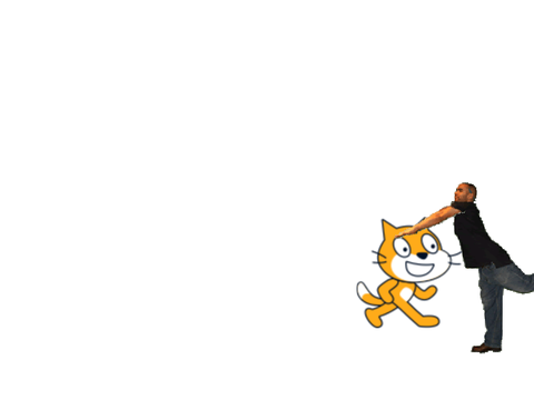 Cat gets hit