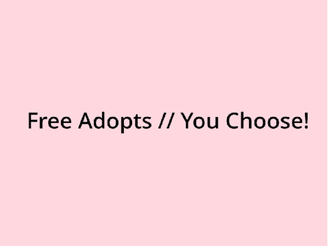 Free Adopts // You Choose!
