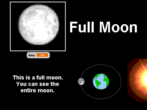 Moon Phases