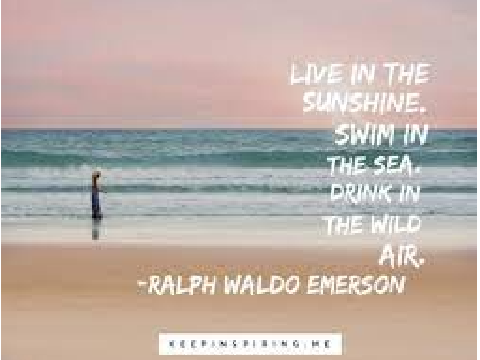Soon it will be Summer
