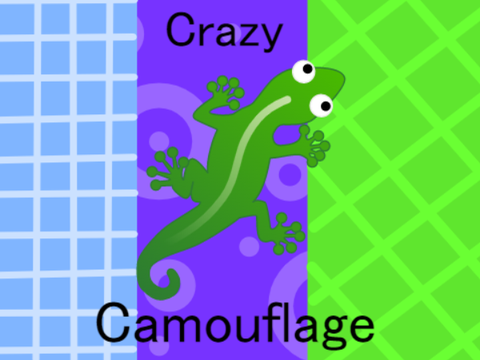 Crazy Camouflage