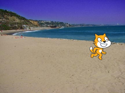 Scratch Cat going for a walk on the beach