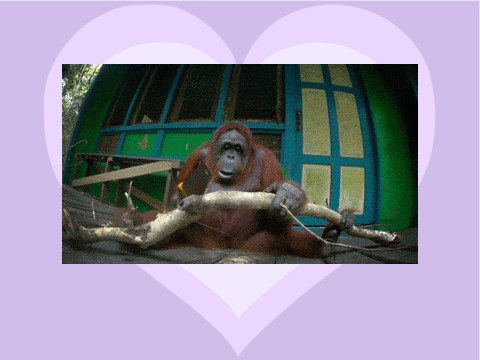 mummy moved my heart