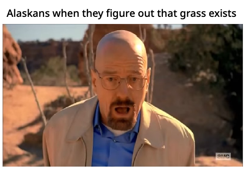 America slander (read desc)