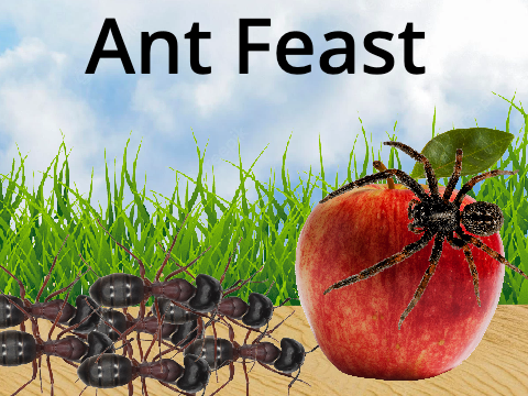 Ant Feast Realistic Textures
