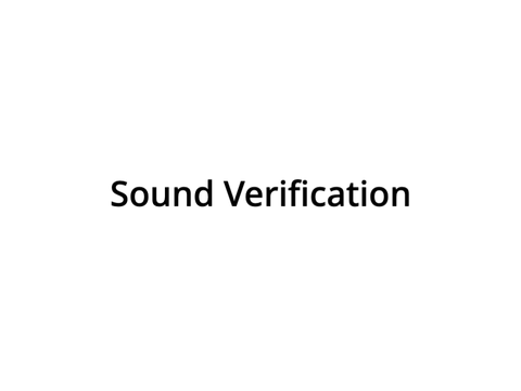 Sound Verification