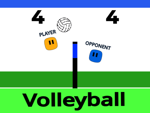 Volleyball
