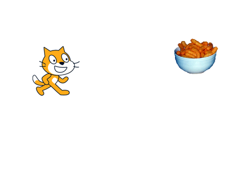 hungry cat