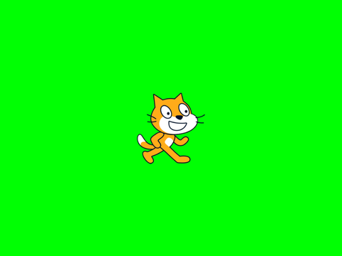 Summer Samba
