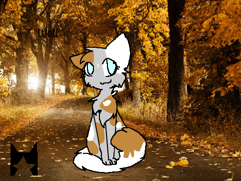 my warrior cat (:D