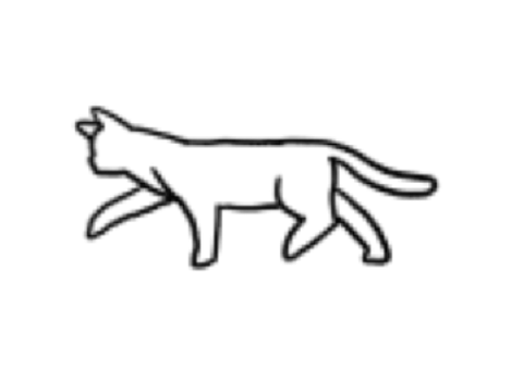 Cat Walking