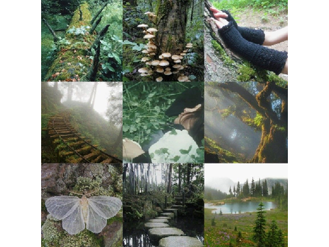 Moodboards for CreamSugarLatte 