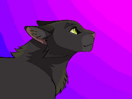 Hollyleaf~ Warrior Cats