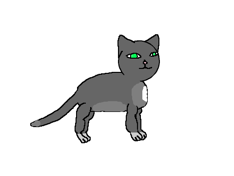 How to draw a cat (in bitmap)