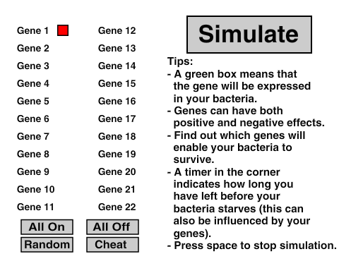 Bacteria Simulator