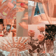 ~Entries of 40 follower contest!~