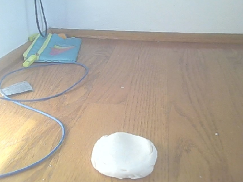 squsihy blob stop motion