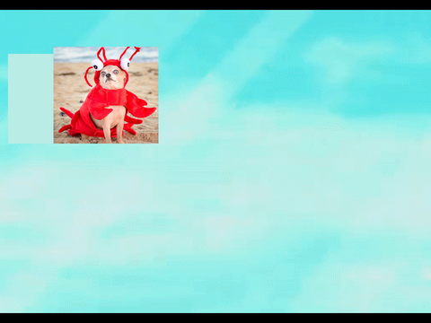 Guys Look! (Meme Template) remix