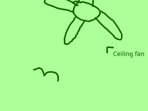 Me as a bird