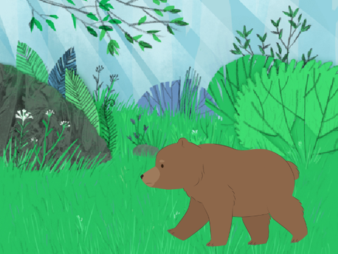 Bear walking