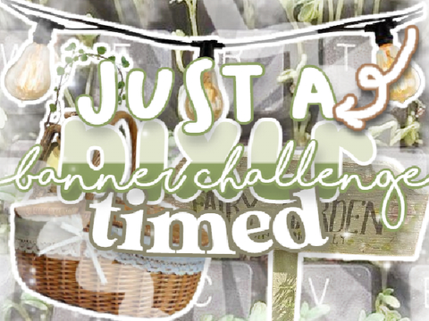 ꒰⸝⸝ timed banner challenge ⌟
