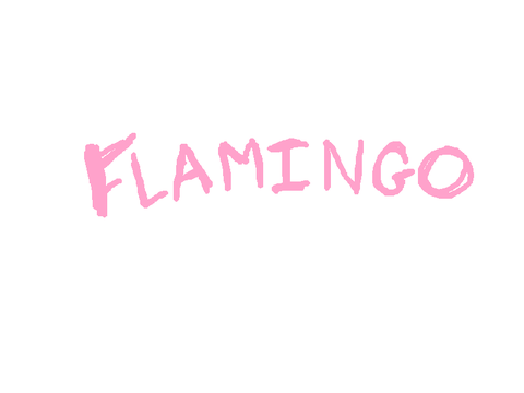 Flamingo—Happy Pride Month!