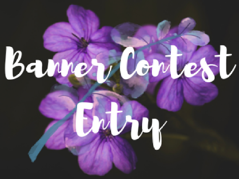 150 Followers Banner Contest Entry