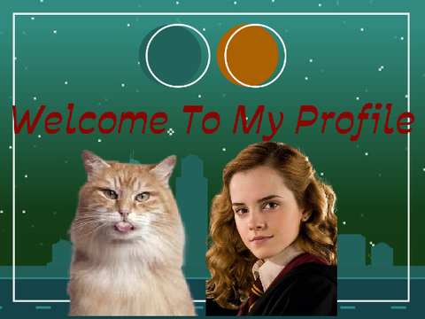Banner For @CatForever33