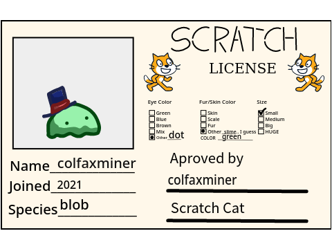my license