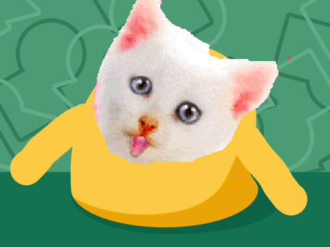 Add faces untill there are 100! remix lol cat