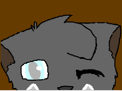 Cat Animation