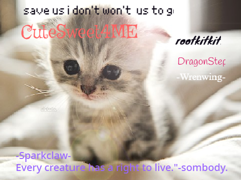 sign if you hate animal cruelty remix remix remix remix